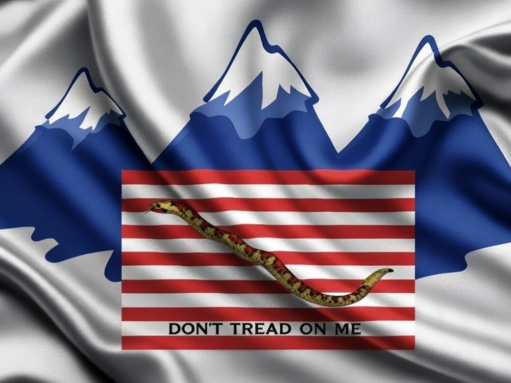 Rocky Mountain Navy Gamer